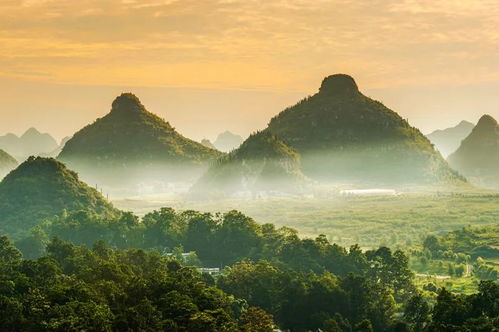 贵州旅游景区陆续恢复开放 春暖花开等你来