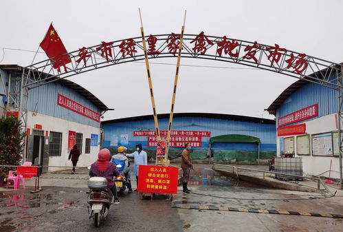 开平市严把农产品质量安全关 供应充足助力景区旅游服务升级
